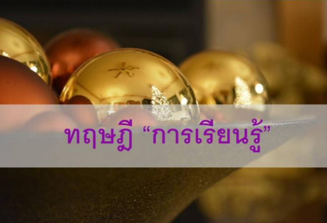 การเรียนรู้ (Learning) คืออะไร มีหลักการอย่างไร